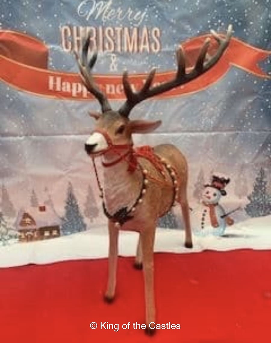 Life Size Reindeer Prop Bouncy Castle Hire, Photo Booth Hire & Event Services in Manchester