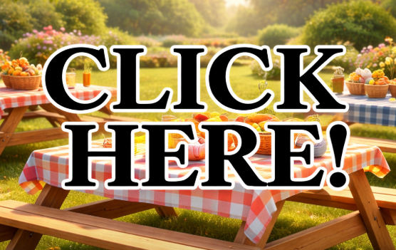 Click here to hire picnic benches in Manchester looking for picnic bench hire in Manchester? click here!